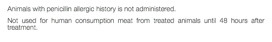 Animals with penicillin allergic history is not administered. Not used for human consumption meat from treated animals until 48 hours after treatment. 