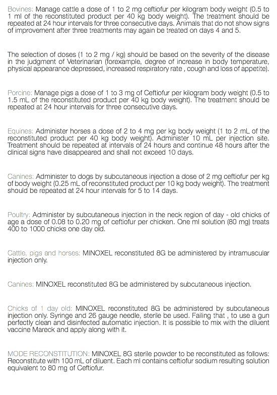 Bovines: Manage cattle a dose of 1 to 2 mg ceftiofur per kilogram body weight (0.5 to 1 ml of the reconstituted product per 40 kg body weight). The treatment should be repeated at 24 hour intervals for three consecutive days. Animals that do not show signs of improvement after three treatments may again be treated on days 4 and 5. The selection of doses (1 to 2 mg / kg) should be based on the severity of the disease in the judgment of Veterinarian (forexample, degree of increase in body temperature, physical appearance depressed, increased respiratory rate , cough and loss of appetite). Porcine: Manage pigs a dose of 1 to 3 mg of Ceftiofur per kilogram body weight (0.5 to 1.5 mL of the reconstituted product per 40 kg body weight). The treatment should be repeated at 24 hour intervals for three consecutive days. Equines: Administer horses a dose of 2 to 4 mg per kg body weight (1 to 2 mL of the reconstituted product per 40 kg body weight). Administer 10 mL per injection site. Treatment should be repeated at intervals of 24 hours and continue 48 hours after the clinical signs have disappeared and shall not exceed 10 days. Canines: Administer to dogs by subcutaneous injection a dose of 2 mg ceftiofur per kg of body weight (0.25 mL of reconstituted product per 10 kg body weight). The treatment should be repeated at 24 hour intervals for 5 to 14 days. Poultry: Administer by subcutaneous injection in the neck region of day - old chicks of age a dose of 0.08 to 0.20 mg of ceftiofur per chicken. One ml solution (80 mg) treats 400 to 1000 chicks one day old. Cattle, pigs and horses: MINOXEL reconstituted 8G be administered by intramuscular injection only. Canines: MINOXEL reconstituted 8G be administered by subcutaneous injection. Chicks of 1 day old: MINOXEL reconstituted 8G be administered by subcutaneous injection only. Syringe and 26 gauge needle, sterile be used. Failing that , to use a gun perfectly clean and disinfected automatic injection. It is possible to mix with the diluent vaccine Mareck and apply along with it. MODE RECONSTITUTION: MINOXEL 8G sterile powder to be reconstituted as follows: Reconstitute with 100 mL of diluent. Each ml contains ceftiofur sodium resulting solution equivalent to 80 mg of Ceftiofur. 
