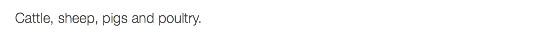 Cattle, sheep, pigs and poultry.