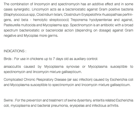 The combination of lincomycin and spectinomycin has an additive effect and in some cases synergistic. Lincomycin acts as a bacteriostatic against Gram positive bacteria (Staphylococcus spp, Clostridium tetani, Clostridium Erysipelothrix rhusiopathiae perfrin-gens, and beta - hemolytic streptococci) Treponema hyodysenteriae and against, Pasteurella multocida and Mycoplasma spp. Spectinomycin is an antibiotic with a broad spectrum bacteriostatic or bactericidal action (depending on dosage) against Gram negative and Mycoplas more germs. INDICATIONS : Birds : For use in chickens up to 7 days old as auxiliary control: airsacculitis caused by Mycoplasma synoviae or Mycoplasma susceptible to spectinomycin and lincomycin mixture gallisepticum. Complicated Chronic Respiratory Disease (air sac infection) caused by Escherichia coli and Mycoplasma susceptible to spectinomycin and lincomycin mixture gallisepticum. Swine : For the prevention and treatment of swine dysentery, enteritis related Escherichia coli, mycoplasma and bacterial pneumonia, erysipelas and infectious arthritis. 