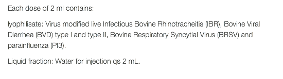 Each dose of 2 ml contains: lyophilisate: Virus modified live Infectious Bovine Rhinotracheitis (IBR), Bovine Viral Diarrhea (BVD) type I and type II, Bovine Respiratory Syncytial Virus (BRSV) and parainfluenza (PI3). Liquid fraction: Water for injection qs 2 mL. 