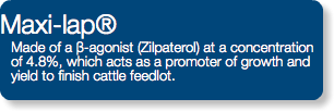Maxi-lap® Made of a β-agonist (Zilpaterol) at a concentration of 4.8%, which acts as a promoter of growth and yield to finish cattle feedlot.