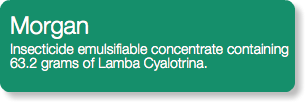 Morgan Insecticide emulsifiable concentrate containing 63.2 grams of Lamba Cyalotrina.