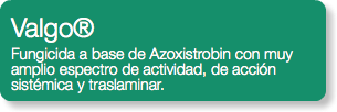 Valgo® Fungicida a base de Azoxistrobin con muy amplio espectro de actividad, de acción sistémica y traslaminar.