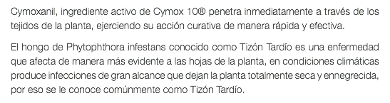 Cymoxanil, ingrediente activo de Cymox 10® penetra inmediatamente a través de los tejidos de la planta, ejerciendo su acción curativa de manera rápida y efectiva. El hongo de Phytophthora infestans conocido como Tizón Tardío es una enfermedad que afecta de manera más evidente a las hojas de la planta, en condiciones climáticas produce infecciones de gran alcance que dejan la planta totalmente seca y ennegrecida, por eso se le conoce comúnmente como Tizón Tardío. 