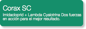 Corax SC Imidacloprid + Lambda Cyalotrina Dos fuerzas en acción para el mejor resultado.