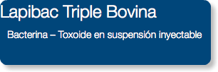 Lapibac Triple Bovina Bacterina – Toxoide en suspensión inyectable 