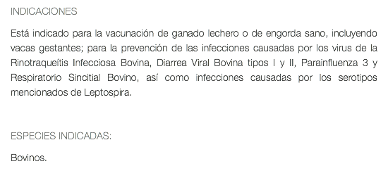 INDICACIONES Está indicado para la vacunación de ganado lechero o de engorda sano, incluyendo vacas gestantes; para la prevención de las infecciones causadas por los virus de la Rinotraqueítis Infecciosa Bovina, Diarrea Viral Bovina tipos I y II, Parainfluenza 3 y Respiratorio Sincitial Bovino, así como infecciones causadas por los serotipos mencionados de Leptospira. ESPECIES INDICADAS: Bovinos. 