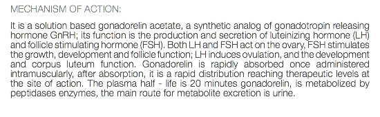 MECHANISM OF ACTION: It is a solution based gonadorelin acetate, a synthetic analog of gonadotropin releasing hormone GnRH; its function is the production and secretion of luteinizing hormone (LH) and follicle stimulating hormone (FSH). Both LH and FSH act on the ovary, FSH stimulates the growth, development and follicle function; LH induces ovulation, and the development and corpus luteum function. Gonadorelin is rapidly absorbed once administered intramuscularly, after absorption, it is a rapid distribution reaching therapeutic levels at the site of action. The plasma half - life is 20 minutes gonadorelin, is metabolized by peptidases enzymes, the main route for metabolite excretion is urine. 