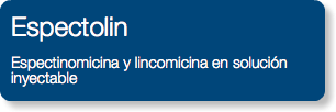 Espectolin Espectinomicina y lincomicina en solución inyectable