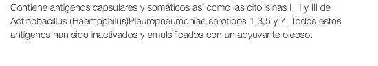 Contiene antígenos capsulares y somáticos así como las citolisinas I, II y III de Actinobacillus (Haemophilus)Pleuropneumoniae serotipos 1,3,5 y 7. Todos estos antígenos han sido inactivados y emulsificados con un adyuvante oleoso.