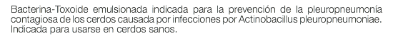 Bacterina-Toxoide emulsionada indicada para la prevención de la pleuropneumonía contagiosa de los cerdos causada por infecciones por Actinobacillus pleuropneumoniae. Indicada para usarse en cerdos sanos.