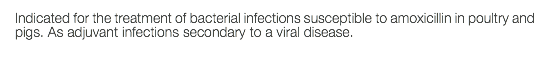 Indicated for the treatment of bacterial infections susceptible to amoxicillin in poultry and pigs. As adjuvant infections secondary to a viral disease.