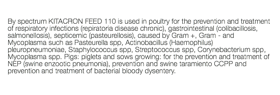  By spectrum KITACRON FEED 110 is used in poultry for the prevention and treatment of respiratory infections (repiratoria disease chronic), gastrointestinal (colibacillosis, salmonellosis), septicemic (pasteurellosis), caused by Gram +, Gram - and Mycoplasma such as Pasteurella spp, Actinobacillus (Haemophilus) pleuropneumoniae, Staphylococcus spp, Streptococcus spp, Corynebacterium spp, Mycoplasma spp. Pigs: piglets and sows growing: for the prevention and treatment of NEP (swine enzootic pneumonia), prevention and swine taramiento CCPP and prevention and treatment of bacterial bloody dysentery. 