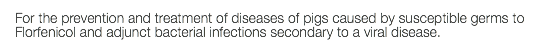 For the prevention and treatment of diseases of pigs caused by susceptible germs to Florfenicol and adjunct bacterial infections secondary to a viral disease.