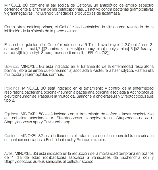 MINOXEL 8G contiene la sal sódica de Ceftiofur, un antibiótico de amplio espectro perteneciente a la familia de las cefalosporinas. Es activo contra bacterias grampositivas y gramnegativas, incluyendo variedades productoras de lactamasa. Como otras cefalosporinas, el Ceftiofur es bactericida in vitro como resultado de la inhibición de la síntesis de la pared celular. El nombre químico del Ceftiofur sódico es: 5-Thia-1-aza-bicyclo[4.2.0]oct-2-ene-2-carboxylic acid,7-[[(2-amino-4-thiazolyl)(methoxyimino)-acetyl]amino]-3-[[(2-furanyl-carbonyl)thio]methyl]-8-oxo, monosodium salt, [-6R-[6a, 7(Z)]]. Bovinos: MINOXEL 8G está indicado en el tratamiento de la enfermedad respiratoria bovina (fiebre de embarque o neumonía) asociada a Pasteurella haemolytica, Pasteurella multocida y Haemophilus somnus. Porcinos: MINOXEL 8G está indicado en el tratamiento y control de la enfermedad respiratoria bacteriana porcina (neumonía bacteriana porcina) asociada a Actinobacillus pleuropneumoniae, Pasteurella multocida, Salmonella choleraesuis y Streptococcus suis tipo 2. Equinos: MINOXEL 8G está indicado en el tratamiento de enfermedades respiratorias en caballos asociadas a Streptococcus zooepidemicus, Streptococcus equi, Staphylococcus spp y Pasteurella spp. Caninos: MINOXEL 8G está indicado en el tratamiento de infecciones del tracto urinario en caninos asociadas a Escherichia coli y Proteus mirabilis. Aves: MINOXEL 8G está indicado en la reducción de la mortalidad temprana en pollitos de 1 día de edad (colibacilosis) asociada a variedades de Escherichia coli y Staphylococcus aureus sensibles al ceftiofur sódico. 