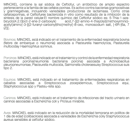 MINOXEL contiene la sal sódica de Ceftiofur, un antibiótico de amplio espectro perteneciente a la familia de las cefalos porinas. Es activo contra bacterias grampositivas y gramnegativas, incluyendo variedades productoras de lactamasa. Como otras cefalosporinas, el Ceftiofures bactericida in vitro como resultado de la inhibición de la síntesis de la pared celular.El nombre químico del Ceftiofur sódico es: 5-Thia-1-aza-bicyclo[4.2.0]oct-2-ene-2-carboxylic acid,7-[[(2-amino-4-thiazolyl)(methoxyimino)-acetyl]amino]-3-[[(2-furanyl-carbonyl)thio]methyl]-8-oxo, monosodium salt, [-6R-[6a, 7(Z)]]. Bovinos: MINOXEL está indicado en el tratamiento de la enfermedad respiratoria bovina (fiebre de embarque o neumonía) asociada a Pasteurella haemolytica, Pasteurella multociday Haemophilus somnus. Porcinos: MINOXEL está indicado en el tratamiento y control de la enfermedad respiratoria bacteriana porcina(neumonía bacteriana porcina) asociada a Actinobacillus pleuropneumoniae, Pasteurella multocida, Salmonella choleraesuisy Streptococcus suis tipo 2. Equinos: MINOXEL está indicado en el tratamiento de enfermedades respiratorias en caballos asociadas a Streptococcus zooepidemicus, Streptococcus equi, Staphylococcus spp y Pasteu-rella spp. Caninos: MINOXEL está indicado en el tratamiento de infecciones del tracto urinario en caninos asociadas a Escherichia coli y Proteus mirabilis. Aves: MINOXEL está indicado en la reducción de la mortalidad temprana en pollitos de 1 día de edad (colibacilosis) asociada a variedades de Escherichia coliy Staphylococcus aureus sensibles al ceftiofur sódico.