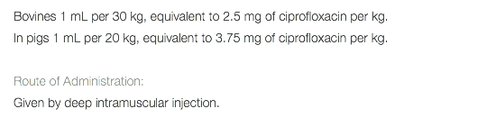 Bovines 1 mL per 30 kg, equivalent to 2.5 mg of ciprofloxacin per kg. In pigs 1 mL per 20 kg, equivalent to 3.75 mg of ciprofloxacin per kg. Route of Administration: Given by deep intramuscular injection. 