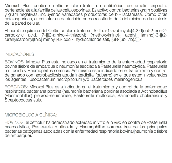 Minoxel Plus contiene ceftiofur clorhidrato, un antibiótico de amplio espectro perteneciente a la familia de las cefalosporinas. Es activo contra bacterias gram positivas y gram negativas, incluyendo variedades productoras de b - lactamasa. Como otras cefalosporinas, el ceftiofur es bactericida como resultado de la inhibición de la síntesis de la pared celular. El nombre químico del Ceftiofur clorhidrato es: 5-Thia-1-azabicyclo[4.2.0]oct-2-ene-2-carboxylic acid, 7-[[(2-amino-4-thiazolyl) (methoxyimino)- acetyl ]amino]-3-[[(2-furanylcarbonyl)thio] methyl]-8- oxo -, hydrochloride salt, [6R-[6b, 7b(Z)]]-. INDICACIONES: BOVINOS: Minoxel Plus esta indicado en el tratamiento de la enfermedad respiratoria bovina (fiebre de embarque o neumonía) asociada a Pasteurella haemolytica, Pasteurella multocida y Haemophillus somnus. Así mismo está indicado en el tratamiento y control de ganado con necrobacilosis aguda interdigital (gabarro) en el que estén involucrados los agentes Fusobacterium necrophorum y/o Bacteroides melanogenicus. PORCINOS: Minoxel Plus esta indicado en el tratamiento y control de la enfermedad respiratoria bacteriana porcina (neumonía bacteriana porcina) asociada a Actinobacillus (Haemophillus) pleurop-neumoniae, Pasteurella multocida, Salmonella choleraesuis y Streptococcus suis. MICROBIOLOGÍA CLÍNICA: BOVINOS: el ceftiofur ha demostrado actividad in vitro e in vivo en contra de Pasteurella haemo-lytica, Pasteurella multocida y Haemophillus somnus,tres de las principales bacterias patógenas asociadas con la enfermedad respiratoria bovina (neumonía o fiebre de embarque). 