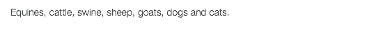 Equines, cattle, swine, sheep, goats, dogs and cats.