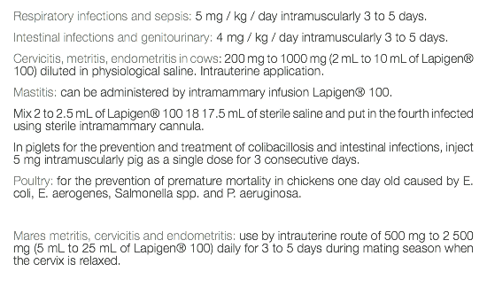 Respiratory infections and sepsis: 5 mg / kg / day intramuscularly 3 to 5 days. Intestinal infections and genitourinary: 4 mg / kg / day intramuscularly 3 to 5 days. Cervicitis, metritis, endometritis in cows: 200 mg to 1000 mg (2 mL to 10 mL of Lapigen® 100) diluted in physiological saline. Intrauterine application. Mastitis: can be administered by intramammary infusion Lapigen® 100. Mix 2 to 2.5 mL of Lapigen® 100 18 17.5 mL of sterile saline and put in the fourth infected using sterile intramammary cannula. In piglets for the prevention and treatment of colibacillosis and intestinal infections, inject 5 mg intramuscularly pig as a single dose for 3 consecutive days. Poultry: for the prevention of premature mortality in chickens one day old caused by E. coli, E. aerogenes, Salmonella spp. and P. aeruginosa. Mares metritis, cervicitis and endometritis: use by intrauterine route of 500 mg to 2 500 mg (5 mL to 25 mL of Lapigen® 100) daily for 3 to 5 days during mating season when the cervix is relaxed. 