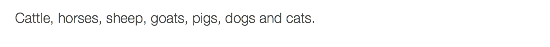 Cattle, horses, sheep, goats, pigs, dogs and cats.