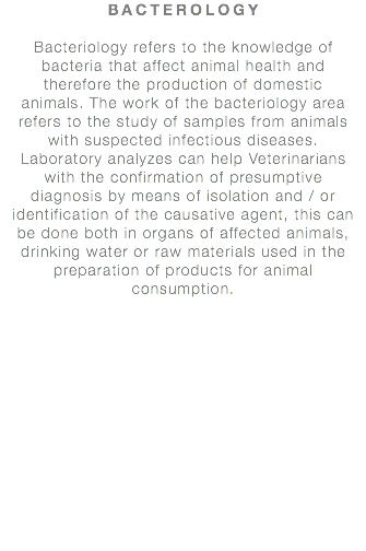 BACTEROLOGY Bacteriology refers to the knowledge of bacteria that affect animal health and therefore the production of domestic animals. The work of the bacteriology area refers to the study of samples from animals with suspected infectious diseases. Laboratory analyzes can help Veterinarians with the confirmation of presumptive diagnosis by means of isolation and / or identification of the causative agent, this can be done both in organs of affected animals, drinking water or raw materials used in the preparation of products for animal consumption.