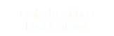 Chlorhexidine BioSentry®