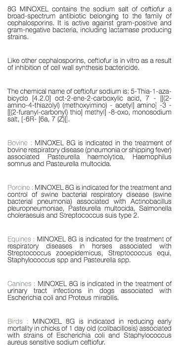 8G MINOXEL contains the sodium salt of ceftiofur a broad-spectrum antibiotic belonging to the family of cephalosporins. It is active against gram-positive and gram-negative bacteria, including lactamase producing strains. Like other cephalosporins, ceftiofur is in vitro as a result of inhibition of cell wall synthesis bactericide. The chemical name of ceftiofur sodium is: 5-Thia-1-aza-bicyclo [4.2.0] oct-2-ene-2-carboxylic acid, 7 - [[(2-amino-4-thiazolyl) (methoxyimino) - acetyl] amino] -3 - [[(2-furanyl-carbonyl) thio] methyl] -8-oxo, monosodium salt, [-6R- [6a, 7 (Z)]]. Bovine : MINOXEL 8G is indicated in the treatment of bovine respiratory disease (pneumonia or shipping fever) associated Pasteurella haemolytica, Haemophilus somnus and Pasteurella multocida. Porcine : MINOXEL 8G is indicated for the treatment and control of swine bacterial respiratory disease (swine bacterial pneumonia) associated with Actinobacillus pleuropneumoniae, Pasteurella multocida, Salmonella choleraesuis and Streptococcus suis type 2. Equines : MINOXEL 8G is indicated for the treatment of respiratory diseases in horses associated with Streptococcus zooepidemicus, Streptococcus equi, Staphylococcus spp and Pasteurella spp. Canines : MINOXEL 8G is indicated in the treatment of urinary tract infections in dogs associated with Escherichia coli and Proteus mirabilis. Birds : MINOXEL 8G is indicated in reducing early mortality in chicks of 1 day old (colibacillosis) associated with strains of Escherichia coli and Staphylococcus aureus sensitive sodium ceftiofur. 