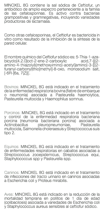 MINOXEL 8G contiene la sal sódica de Ceftiofur, un antibiótico de amplio espectro perteneciente a la familia de las cefalosporinas. Es activo contra bacterias grampositivas y gramnegativas, incluyendo variedades productoras de lactamasa. Como otras cefalosporinas, el Ceftiofur es bactericida in vitro como resultado de la inhibición de la síntesis de la pared celular. El nombre químico del Ceftiofur sódico es: 5-Thia-1-aza-bicyclo[4.2.0]oct-2-ene-2-carboxylic acid,7-[[(2-amino-4-thiazolyl)(methoxyimino)-acetyl]amino]-3-[[(2-furanyl-carbonyl)thio]methyl]-8-oxo, monosodium salt, [-6R-[6a, 7(Z)]]. Bovinos: MINOXEL 8G está indicado en el tratamiento de la enfermedad respiratoria bovina (fiebre de embarque o neumonía) asociada a Pasteurella haemolytica, Pasteurella multocida y Haemophilus somnus. Porcinos: MINOXEL 8G está indicado en el tratamiento y control de la enfermedad respiratoria bacteriana porcina (neumonía bacteriana porcina) asociada a Actinobacillus pleuropneumoniae, Pasteurella multocida, Salmonella choleraesuis y Streptococcus suis tipo 2. Equinos: MINOXEL 8G está indicado en el tratamiento de enfermedades respiratorias en caballos asociadas a Streptococcus zooepidemicus, Streptococcus equi, Staphylococcus spp y Pasteurella spp. Caninos: MINOXEL 8G está indicado en el tratamiento de infecciones del tracto urinario en caninos asociadas a Escherichia coli y Proteus mirabilis. Aves: MINOXEL 8G está indicado en la reducción de la mortalidad temprana en pollitos de 1 día de edad (colibacilosis) asociada a variedades de Escherichia coli y Staphylococcus aureus sensibles al ceftiofur sódico. 