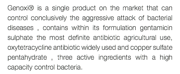 Genoxi® is a single product on the market that can control conclusively the aggressive attack of bacterial diseases , contains within its formulation gentamicin sulphate the most definite antibiotic agricultural use, oxytetracycline antibiotic widely used and copper sulfate pentahydrate , three active ingredients with a high capacity control bacteria.