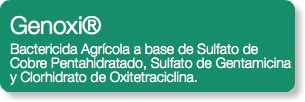 Genoxi® Bactericida Agrícola a base de Sulfato de Cobre Pentahidratado, Sulfato de Gentamicina y Clorhidrato de Oxitetraciclina.