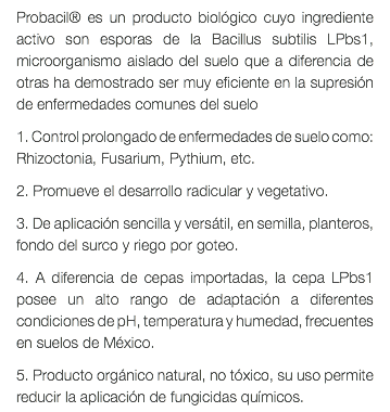 Probacil® es un producto biológico cuyo ingrediente activo son esporas de la Bacillus subtilis LPbs1, microorganismo aislado del suelo que a diferencia de otras ha demostrado ser muy eficiente en la supresión de enfermedades comunes del suelo 1. Control prolongado de enfermedades de suelo como: Rhizoctonia, Fusarium, Pythium, etc. 2. Promueve el desarrollo radicular y vegetativo. 3. De aplicación sencilla y versátil, en semilla, planteros, fondo del surco y riego por goteo. 4. A diferencia de cepas importadas, la cepa LPbs1 posee un alto rango de adaptación a diferentes condiciones de pH, temperatura y humedad, frecuentes en suelos de México. 5. Producto orgánico natural, no tóxico, su uso permite reducir la aplicación de fungicidas químicos.