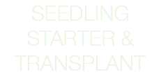 SEEDLING STARTER & TRANSPLANT