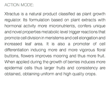 ACTION MODE: Xtractus is a natural product classified as plant growth regulator. Its formulation based on plant extracts with hormonal activity more micronutrients, confers unique and novel properties metabolic level trigger reactions that promote cell division in meristems and cell elongation and increased leaf area. It is also a promoter of cell differentiation inducing more and more vigorous floral buttons, flowers improves mooring and thus more fruit. When applied during the growth of berries induces more epidermal cells thus larger fruits and consistency are obtained, obtaining uniform and high quality crops. 