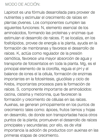  MODO DE ACCIÓN: Lapiroot es una fórmula desarrollada para proveer de nutrientes y estimular el crecimiento de raíces en plantas jóvenes. Los componentes cumplen las siguientes funciones: N, elemento esencial de los aminoácidos, formando las proteínas y enzimas que estimulan el desarrollo de raíces. P, se localiza, en los fosfolípidos, provee de energía a la planta, ayuda en la formación de membranas y favorece el desarrollo de raíces. K, actúa como regulador de la presión osmótica, favorece una mayor absorción de agua y transporte de fotosintatos en toda la planta. Mg, es el principal elemento de la clorofila, regula el pH y el balance de iones el la célula, formación de enzimas importantes en la fotosíntesis, glucólisis y ciclo de Krebs, importantes procesos para la formación de raíces. S, componente importante de aminoácidos: cistina, cisteína y metionina, que favorecen la formación y crecimiento de células en las raíces. Auxinas, se generan principalmente en los puntos de crecimiento tales como: ápices, frutos tiernos y hojas en desarrollo, de donde son transportadas hacia otros puntos de la planta; promueven el desarrollo de raíces principales y secundarias; por ello, es de vital importancia la adición de productos con auxinas en las primeras etapas de crecimiento.