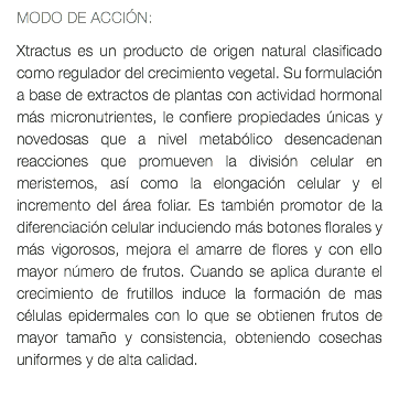 MODO DE ACCIÓN: Xtractus es un producto de origen natural clasificado como regulador del crecimiento vegetal. Su formulación a base de extractos de plantas con actividad hormonal más micronutrientes, le confiere propiedades únicas y novedosas que a nivel metabólico desencadenan reacciones que promueven la división celular en meristemos, así como la elongación celular y el incremento del área foliar. Es también promotor de la diferenciación celular induciendo más botones florales y más vigorosos, mejora el amarre de flores y con ello mayor número de frutos. Cuando se aplica durante el crecimiento de frutillos induce la formación de mas células epidermales con lo que se obtienen frutos de mayor tamaño y consistencia, obteniendo cosechas uniformes y de alta calidad. 