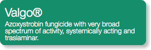 Valgo® Azoxystrobin fungicide with very broad spectrum of activity, systemically acting and traslaminar.