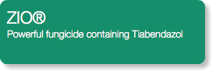 ZIO® Powerful fungicide containing Tiabendazol