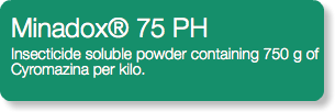 Minadox® 75 PH Insecticide soluble powder containing 750 g of Cyromazina per kilo.