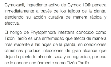 Cymoxanil, ingrediente activo de Cymox 10® penetra inmediatamente a través de los tejidos de la planta, ejerciendo su acción curativa de manera rápida y efectiva. El hongo de Phytophthora infestans conocido como Tizón Tardío es una enfermedad que afecta de manera más evidente a las hojas de la planta, en condiciones climáticas produce infecciones de gran alcance que dejan la planta totalmente seca y ennegrecida, por eso se le conoce comúnmente como Tizón Tardío. 