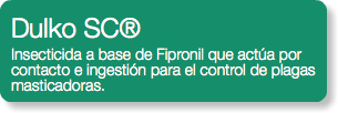 Dulko SC® Insecticida a base de Fipronil que actúa por contacto e ingestión para el control de plagas masticadoras.