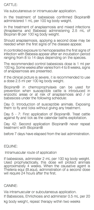 CATTLE: Via subcutaneous or intramuscular application. In the treatment of babesiosis confirmed Biopiran® administered 1 mL per 100 kg body weight. In the treatment of anaplasmosis and mixed infections (Anaplasma and Babesia) administering 2.5 mL of Biopiran ® per 100 kg body weight. Should anaplasmosis, applying a second dose may be needed when the first signs of the disease appear. In controlled exposure to hemoparasites the first signs of infection with Babesia appear after an incubation period ranging from 8 to 14 days depending on the species. The recommended control babesiosis dose is 1 ml per 100 kg. Some weeks after varies from 4 to 8 weeks, signs of anaplasmosis are presented. If the clinical picture is severe, it is recommended to use a dose 2.5 ml per 100 kg body weight. Biopiran® in chemoprophylaxis can be used for prevention when susceptible cattle is introduced in enzootic areas or at risk of anaplasmosis and / or babesiosis under the following schedule: Day 0: Introduction of susceptible animals. Exposing them to fly and ticks without giving any treatment. Day 5 - 7: First application of Biopiran®. Treat cattle against fly and tick as the calendar baths exploitation. Day 42: Second application Biopiran® never repeat treatment with Biopiran® before 7 days have elapsed from the last administration. EQUINE: Intramuscular route of application If babesiosis, administer 2 mL per 100 kg body weight. Used prophylactically, this dose will protect animals approximately 4 weeks. When the causative agent is Theileria equi (B.equi), administration of a second dose will require 24 hours after the first. CANINE: Via intramuscular or subcutaneous application. If Babesiosis, Ehrlichiosis and administer 0.5 mL per 20 kg body weight, repeat therapy within two weeks 