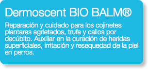 Dermoscent BIO BALM® Reparación y cuidado para los cojinetes plantares agrietados, trufa y callos por decúbito. Auxiliar en la curación de heridas superficiales, irritación y resequedad de la piel en perros. 