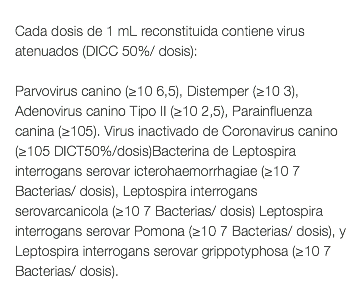  Cada dosis de 1 mL reconstituida contiene virus atenuados (DICC 50%/ dosis): Parvovirus canino (≥10 6,5), Distemper (≥10 3), Adenovirus canino Tipo II (≥10 2,5), Parainfluenza canina (≥105). Virus inactivado de Coronavirus canino (≥105 DICT50%/dosis)Bacterina de Leptospira interrogans serovar icterohaemorrhagiae (≥10 7 Bacterias/ dosis), Leptospira interrogans serovarcanicola (≥10 7 Bacterias/ dosis) Leptospira interrogans serovar Pomona (≥10 7 Bacterias/ dosis), y Leptospira interrogans serovar grippotyphosa (≥10 7 Bacterias/ dosis). 