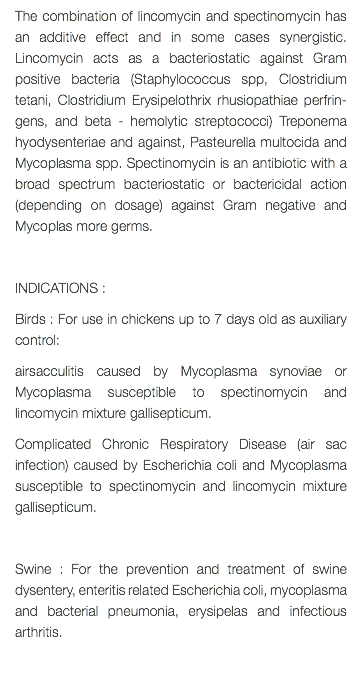 The combination of lincomycin and spectinomycin has an additive effect and in some cases synergistic. Lincomycin acts as a bacteriostatic against Gram positive bacteria (Staphylococcus spp, Clostridium tetani, Clostridium Erysipelothrix rhusiopathiae perfrin-gens, and beta - hemolytic streptococci) Treponema hyodysenteriae and against, Pasteurella multocida and Mycoplasma spp. Spectinomycin is an antibiotic with a broad spectrum bacteriostatic or bactericidal action (depending on dosage) against Gram negative and Mycoplas more germs. INDICATIONS : Birds : For use in chickens up to 7 days old as auxiliary control: airsacculitis caused by Mycoplasma synoviae or Mycoplasma susceptible to spectinomycin and lincomycin mixture gallisepticum. Complicated Chronic Respiratory Disease (air sac infection) caused by Escherichia coli and Mycoplasma susceptible to spectinomycin and lincomycin mixture gallisepticum. Swine : For the prevention and treatment of swine dysentery, enteritis related Escherichia coli, mycoplasma and bacterial pneumonia, erysipelas and infectious arthritis. 