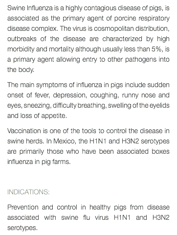 Swine Influenza is a highly contagious disease of pigs, is associated as the primary agent of porcine respiratory disease complex. The virus is cosmopolitan distribution, outbreaks of the disease are characterized by high morbidity and mortality although usually less than 5%, is a primary agent allowing entry to other pathogens into the body. The main symptoms of influenza in pigs include sudden onset of fever, depression, coughing, runny nose and eyes, sneezing, difficulty breathing, swelling of the eyelids and loss of appetite. Vaccination is one of the tools to control the disease in swine herds. In Mexico, the H1N1 and H3N2 serotypes are primarily those who have been associated boxes influenza in pig farms. INDICATIONS: Prevention and control in healthy pigs from disease associated with swine flu virus H1N1 and H3N2 serotypes.