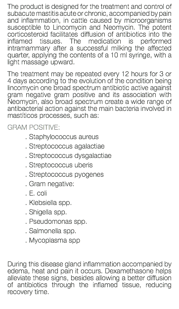 The product is designed for the treatment and control of subacute mastitis acute or chronic, accompanied by pain and inflammation, in cattle caused by microorganisms susceptible to Lincomycin and Neomycin. The potent corticosteroid facilitates diffusion of antibiotics into the inflamed tissues. The medication is performed intramammary after a successful milking the affected quarter, applying the contents of a 10 ml syringe, with a light massage upward. The treatment may be repeated every 12 hours for 3 or 4 days according to the evolution of the condition being lincomycin one broad spectrum antibiotic active against gram negative gram positive and its association with Neomycin, also broad spectrum create a wide range of antibacterial action against the main bacteria involved in mastíticos processes, such as: GRAM POSITIVE: . Staphylococcus aureus . Streptococcus agalactiae . Streptococcus dysgalactiae . Streptococcus uberis . Streptococcus pyogenes . Gram negative: . E. coli . Klebsiella spp. . Shigella spp. . Pseudomonas spp. . Salmonella spp. . Mycoplasma spp During this disease gland inflammation accompanied by edema, heat and pain it occurs. Dexamethasone helps alleviate these signs, besides allowing a better diffusion of antibiotics through the inflamed tissue, reducing recovery time. 