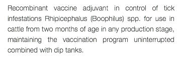 Recombinant vaccine adjuvant in control of tick infestations Rhipicephalus (Boophilus) spp. for use in cattle from two months of age in any production stage, maintaining the vaccination program uninterrupted combined with dip tanks. 