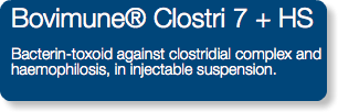 Bovimune® Clostri 7 + HS Bacterin-toxoid against clostridial complex and haemophilosis, in injectable suspension.